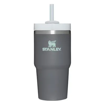 Stanley Quencher H20 FlowState Stainless Steel Vacuum Insulated Tumbler with Lid and Straw for W