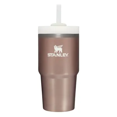 Stanley Quencher H20 FlowState Stainless Steel Vacuum Insulated Tumbler with Lid and Straw for W