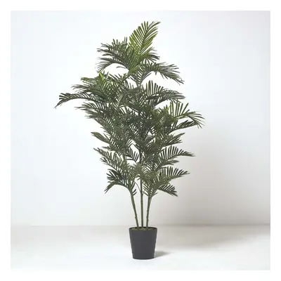 (4 Ft (120 cm)) Areca Palm Tree in Pot