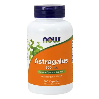 NOW Foods Astragalus, 500mg - caps