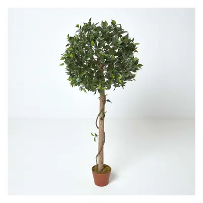 Homescapes Green 4ft Ficus Topiary Artificial Tree with Pot, cm