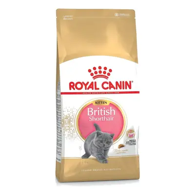 Royal Canin British Short Hair Kitten Food