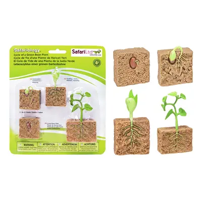 Safari Ltd. Life Cycle of a Green Bean Plant - Educational Toy Figurin