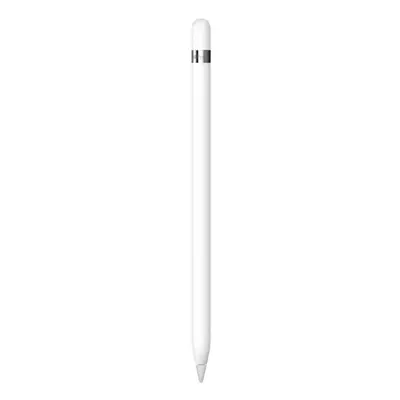 Apple Pencil - 1st Generation