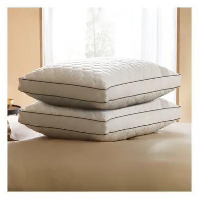 Sealy Side Sleeper Pillow - Pack