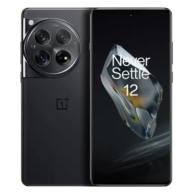 OnePlus PJD110 (Global Version, 512GB+16GB, Black)