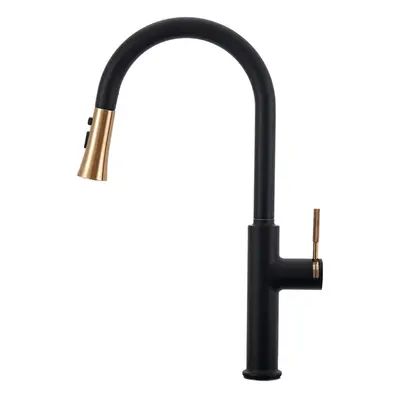 Black Kitchen Sink Faucet with Pull Down Sprayer