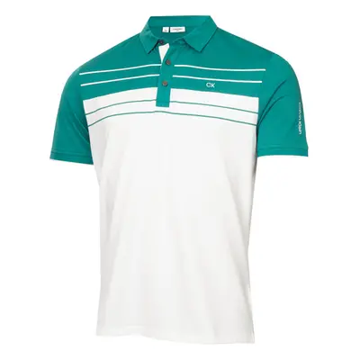 (L, White) Calvin Klein Mens Pinebrook Moisture Wicking Technical Golf Polo Shirt