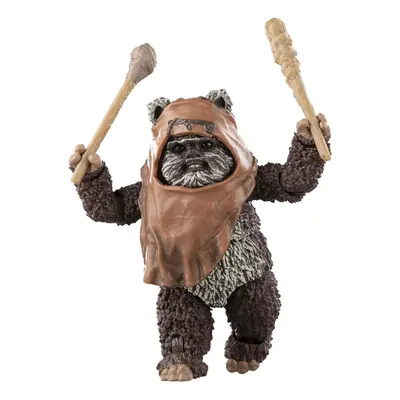 STAR WARS The Black Series Wicket W. Warrick Return of The Jedi 6-Inch Action Figures Ages and U