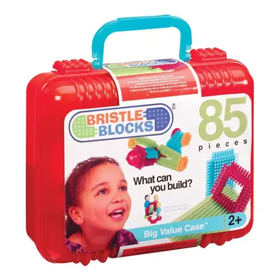 Bristle Blocks Piece Big Value Case