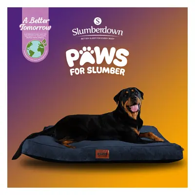 (Blue, Extra Large) Paws for Slumber Padded Pet Bed UK Made