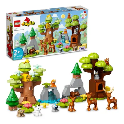 LEGO DUPLO Wild Animals of Europe Preschool Learning Toys for T