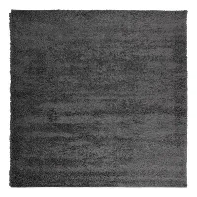 (anthracite, x cm) vidaXL Shaggy Rug Floor Mat Fluffy Rug Area Rug PAMPLONA High Pile Modern