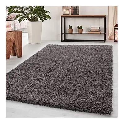 Abaseen Shaggy Taupe Luxurious Soft 5cm Dense Pile Rug - 160cm x 230cm