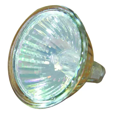 Certikin Amprod Spabrite Bulb 100W 12V (AP791081)