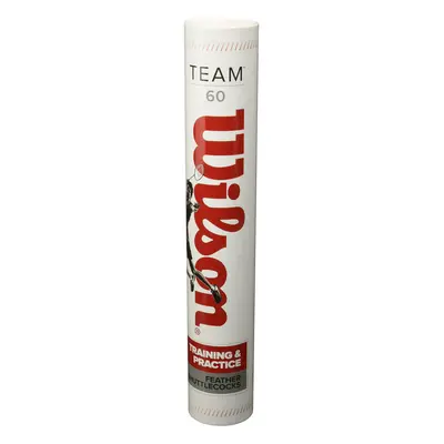 Wilson Team Shuttlecocks - Pack Tube