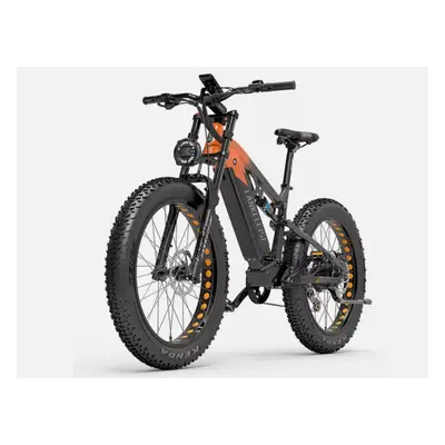 LANKELEISI RV800 PLUS MTB Electric Bike 48V 20Ah 750Wa 26inFat Tyre F/Suspension