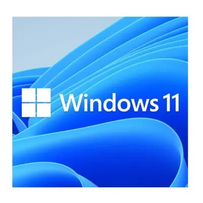 Microsoft Windows Professional 64-Bit Oem Dvd Single Copy FQC-10528