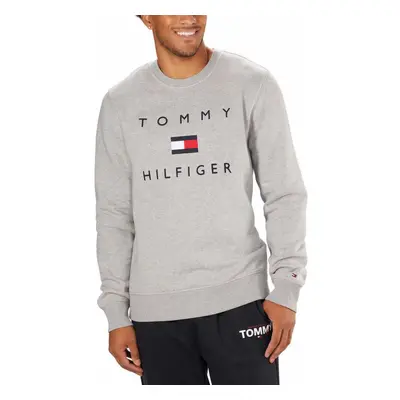 Tommy Hilfiger Mens Midweight Crewneck Sweatshirt (as1 alpha xx_l r