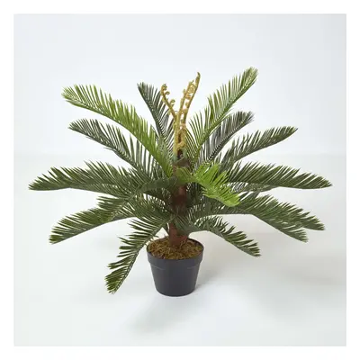 Homescapes Green 'Sago Palm' Artificial Cycas Plant with Pot, cm