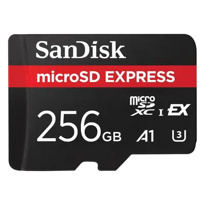 Sandisk microSDHC Express Card (256GB, SDSQXFN-256G-GN4NN)