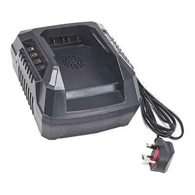 Hyundai 40V Garden Machinery Charger