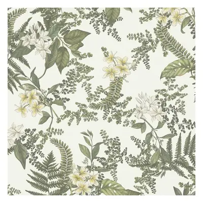 AS Creation Trailing Leaves Lily Blossom Green Wallpaper Textured