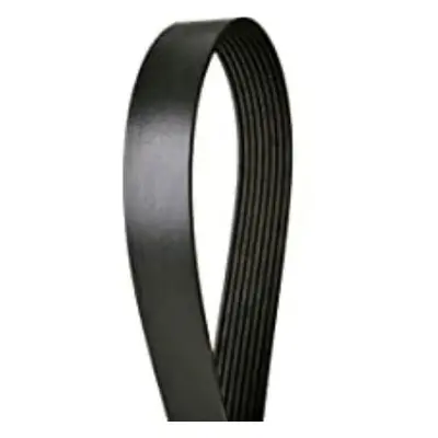 Continental Serpentine Belt black