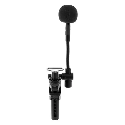 Instrument Microphone