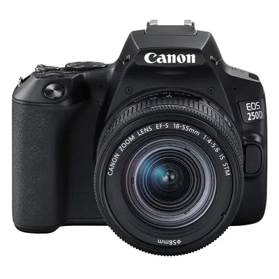 Canon EOS 250D + Canon EF-s 18-55mm f/4-5.6 IS STM Lens - Black