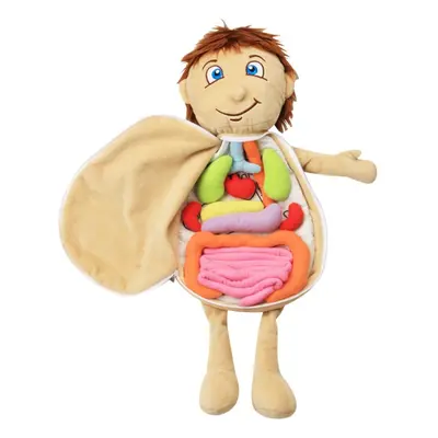 Kids Assembled Plush Body Organs Toy Human Body Anatomy Plush Doll Science Teaching Aids Tool Ed