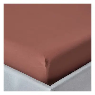 (Super-King, Chocolate) Egyptian Cotton Fitted Sheet TC