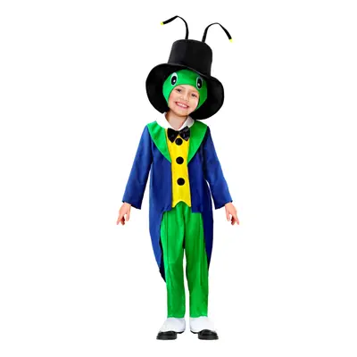 Boy's cricket costume