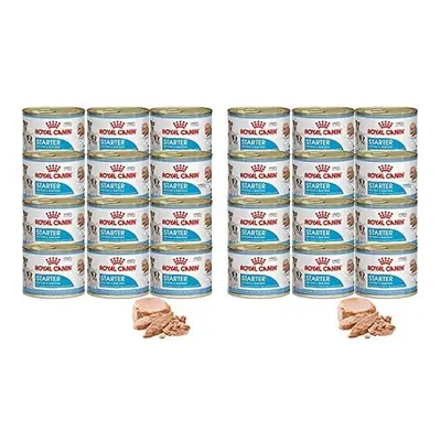 Royal Canin Starter Mousse Mother & Babydog (Saver Pack: x 195g)