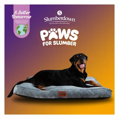 (Grey, Extra Large) Paws for Slumber Padded Pet Bed UK Made