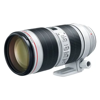 Canon EF 70-200mm f/2.8L IS III USM Lens