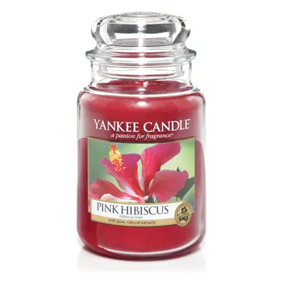 Yankee Candle Large Jar Candle, Pink Hibiscus