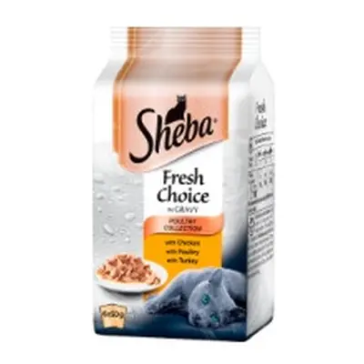 Sheba Fresh Choice Poultry in Gravy Wet Adult 1+ Cat Food Pouches x 50g (8 x 6x50g)