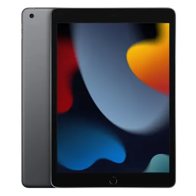 Apple iPad GB 25.9 cm (10.2") Wi-Fi (802.11ac) iPadOS Grey