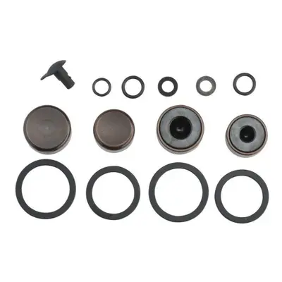 SRAM Guide Ultimate Caliper Piston Kit: Two Each 16mm and 14mm