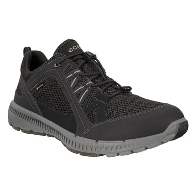 (12-12.5 UK (47EU), Black) Ecco Mens Terricruise II Outdoors Gore-Tex Walking Hiking Trainers Sh