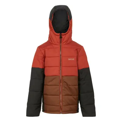 (14 Years, Red Ochre/Dark Brown) Regatta Childrens/Kids Lofthouse VIII Insulated Jacket