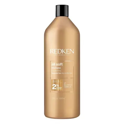 Shampooing hydratant Redken All Soft L