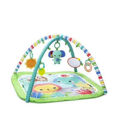 Wild Wiggles Baby Activity Gym & Play Mat with Taggies, Newborn and up - Green, 18.5x29.1x29.1 I