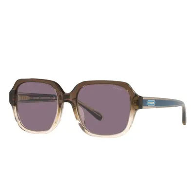 Coach HC8335U Universal Fit Sunglasses Transparent Brown Gradient/Vio