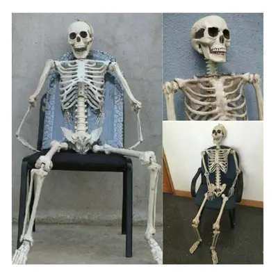 Human Skeleton Prop Halloween Party Decoration