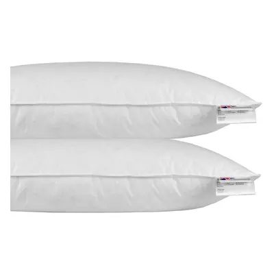 Homescapes Goose Feather & Down Euro Continental Pillow Pair - 40cm x 80cm (16"x32")