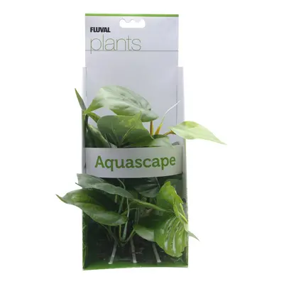 Fluval Anubias Plant for Aquarium 8-Inch