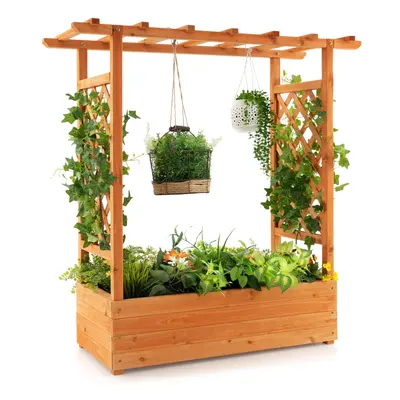 Raised Garden Bed Planter Box w/ Side & Top Trellis for Vine Climbing Plants