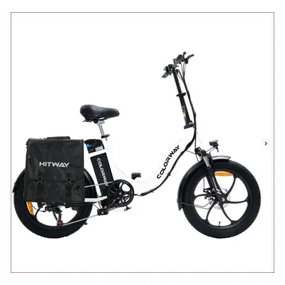 Electric Folding Bike, 20" Fat Tyre, Ah 250W 36V, 35-90KM COLORWAY